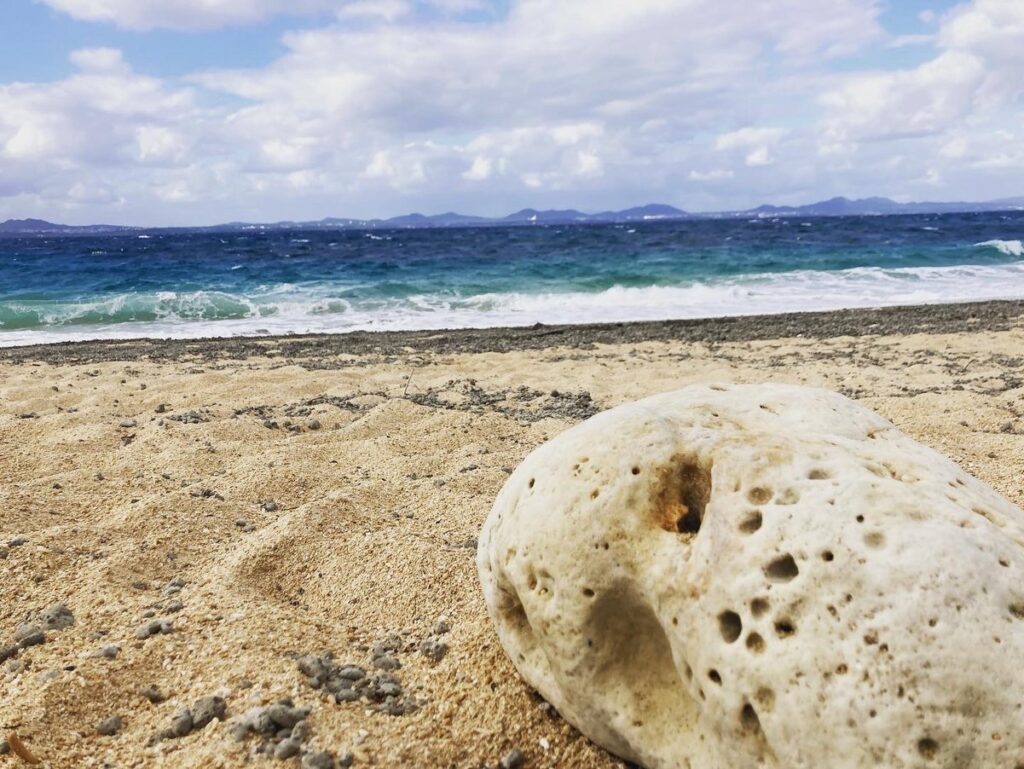 失敗という概念が、あまり存在しない